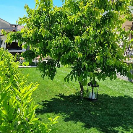 Luxa 5 Min Old Town, 10 Min Airport Apartment Trogir Ngoại thất bức ảnh